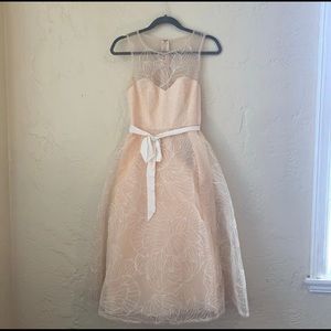 Lace dress elegant special occasion pink
